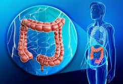 Prevenci�n cancer de colon